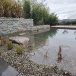 Schwimteich oder Biopool